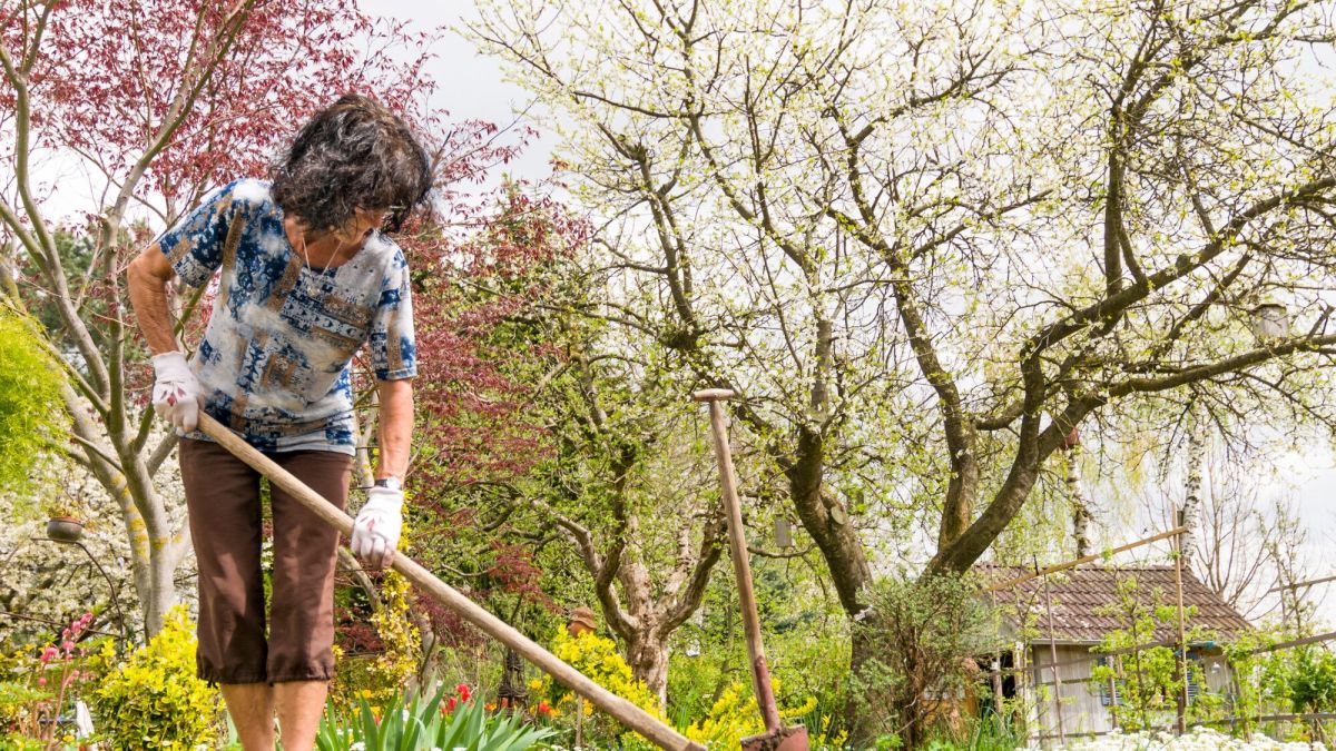 Préparez votre potager : 5 astuces pour une récolte abondante