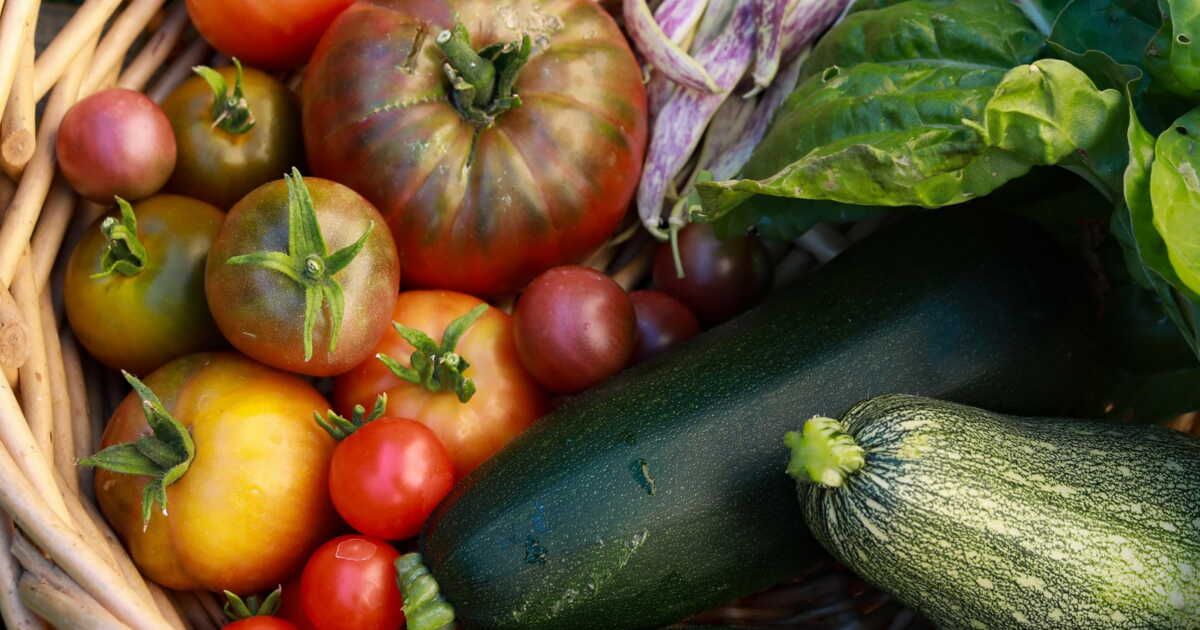 L'importance de dégorger les légumes pour des plats savoureux