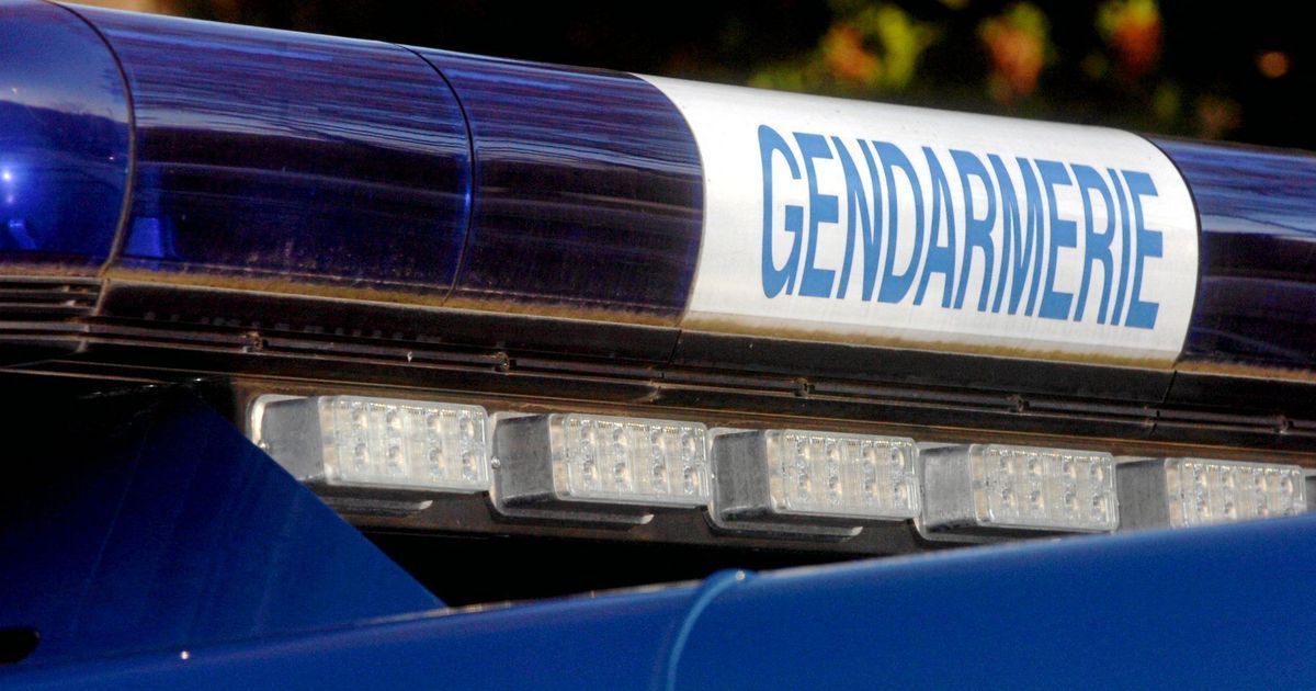 Sallanches : un couple de retraités kidnappé, sept interpellés dans une affaire de cryptomonnaies