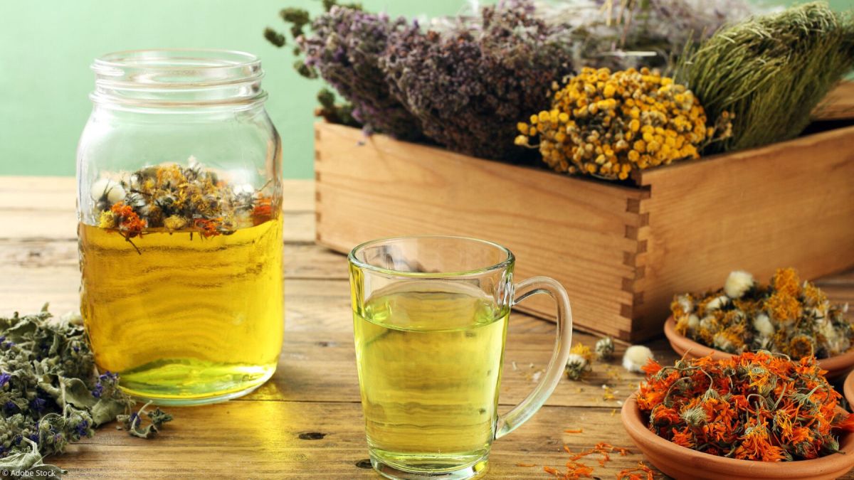 Démystifier les plantes à tisanes : culture et bienfaits