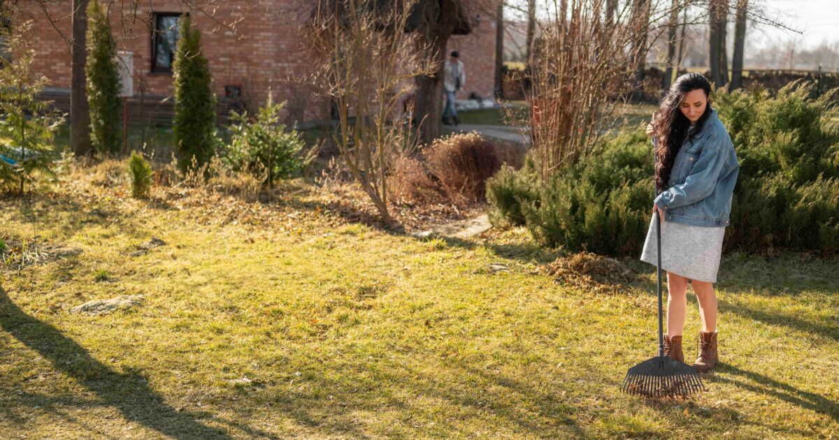 préparez votre gazon cet hiver pour un printemps éclatant