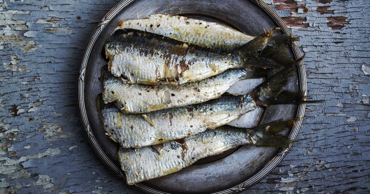 Cinq recettes savoureuses et économiques à base de sardines