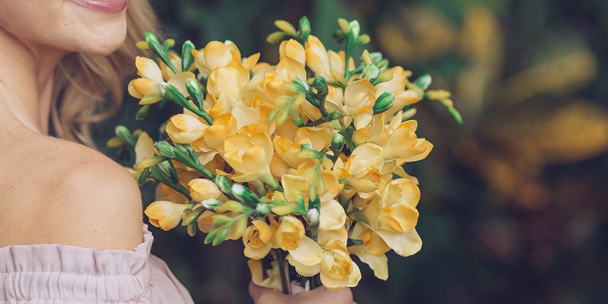 Freesia : la beauté parfumée du muguet du Cap