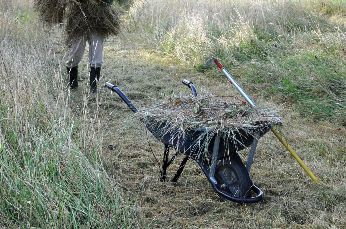 préparez votre jardin pour l'été : le débroussaillage, une obligation légale