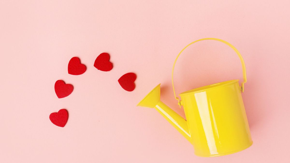 Comment fleurir votre jardin toute l'année avec une terre sablonneuse