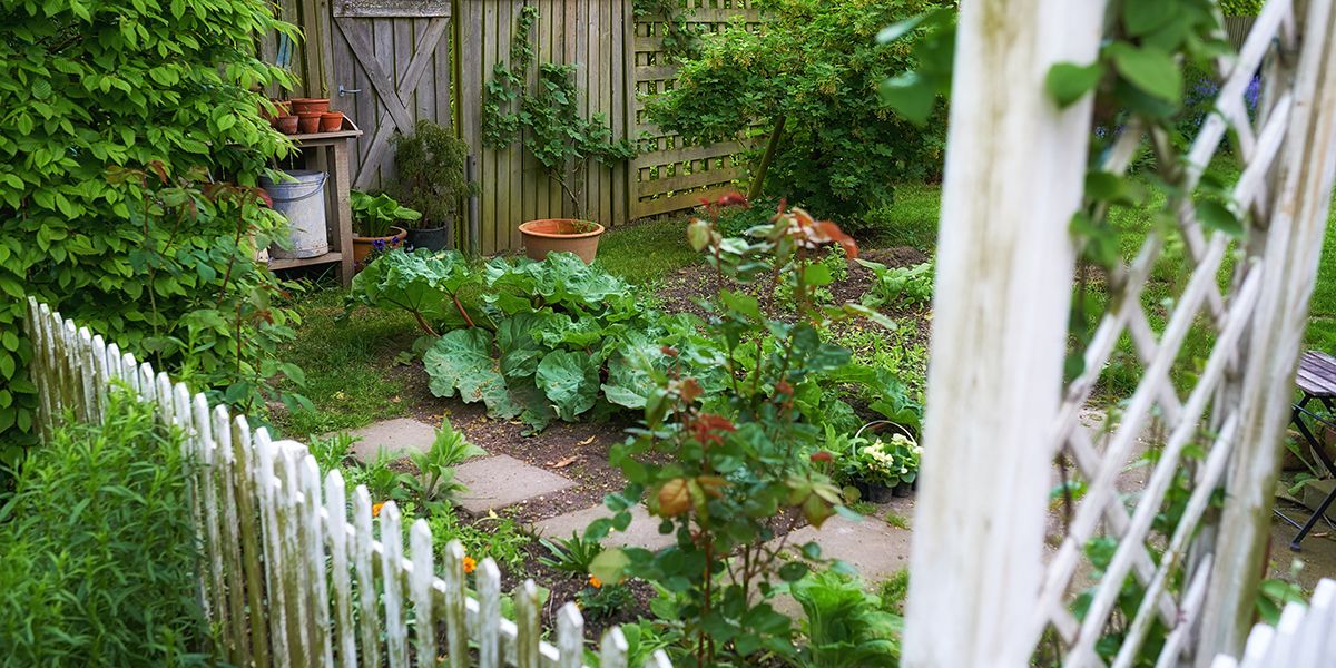 Transformez votre jardin avec un potager à la fois utile et esthétique