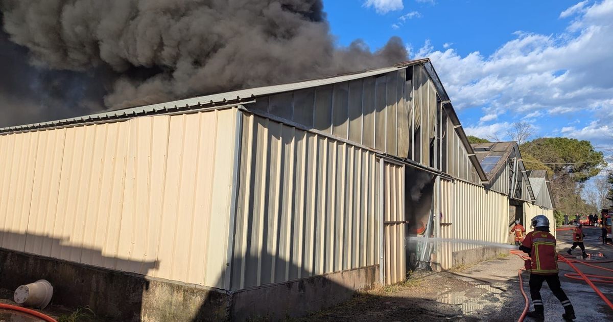 Un incendie dévastateur à Roquebrune-sur-Argens : un hangar réduit en cendres