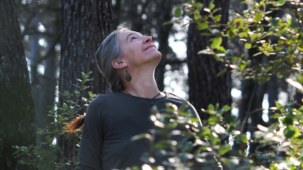 Reconnectez-vous à la nature avec le Shinrin Yoku à Gardanne