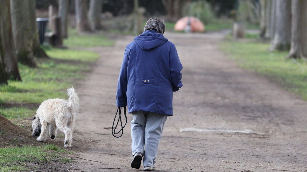 L'empoisonnement des chiens inquiète un village de la Meuse
