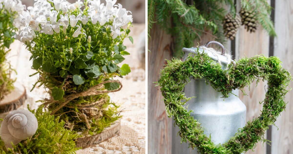 Les merveilles de la mousse : 4 idées déco pour un hiver enchanteur