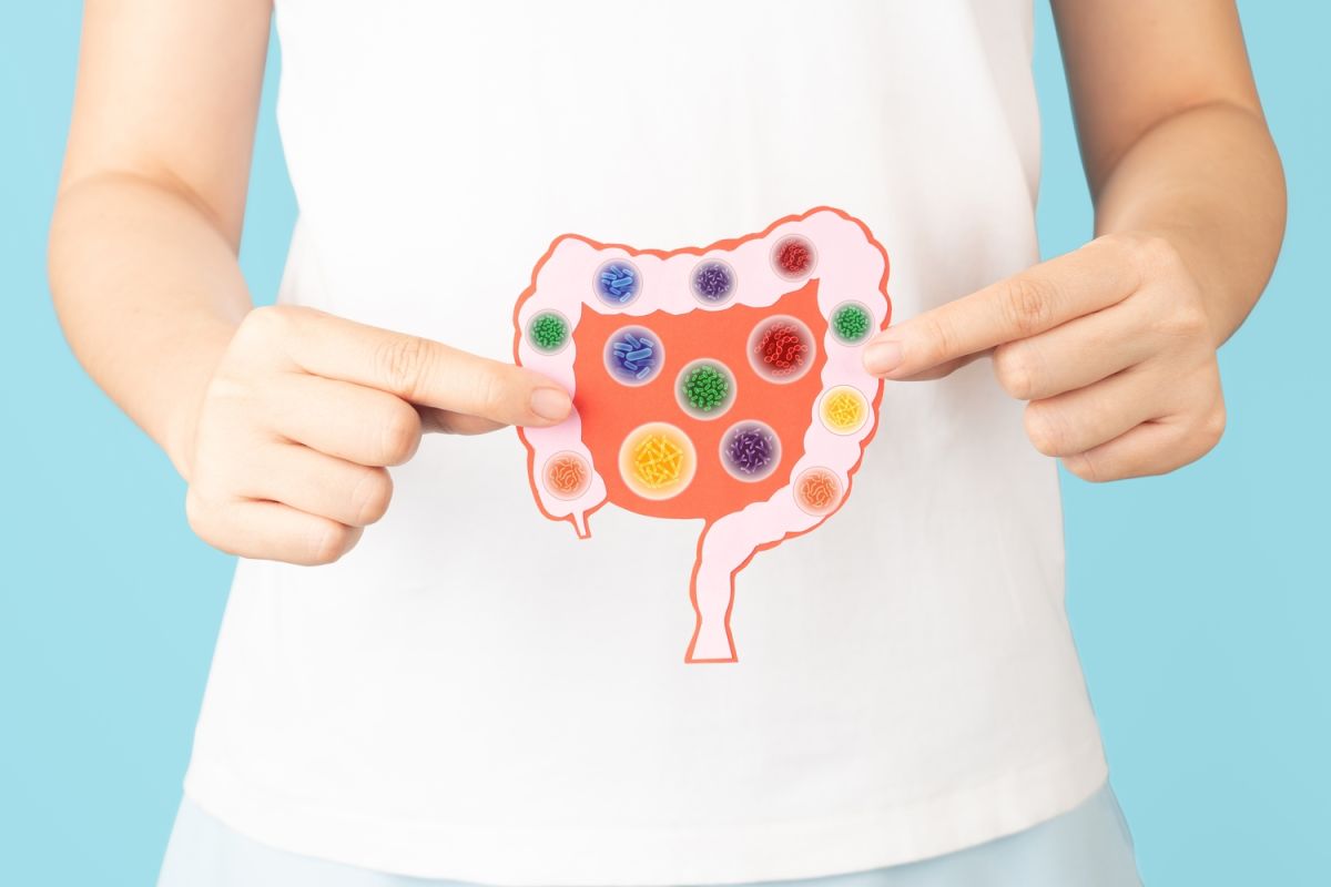 Attention aux probiotiques : quand ils nuisent à votre santé intestinale