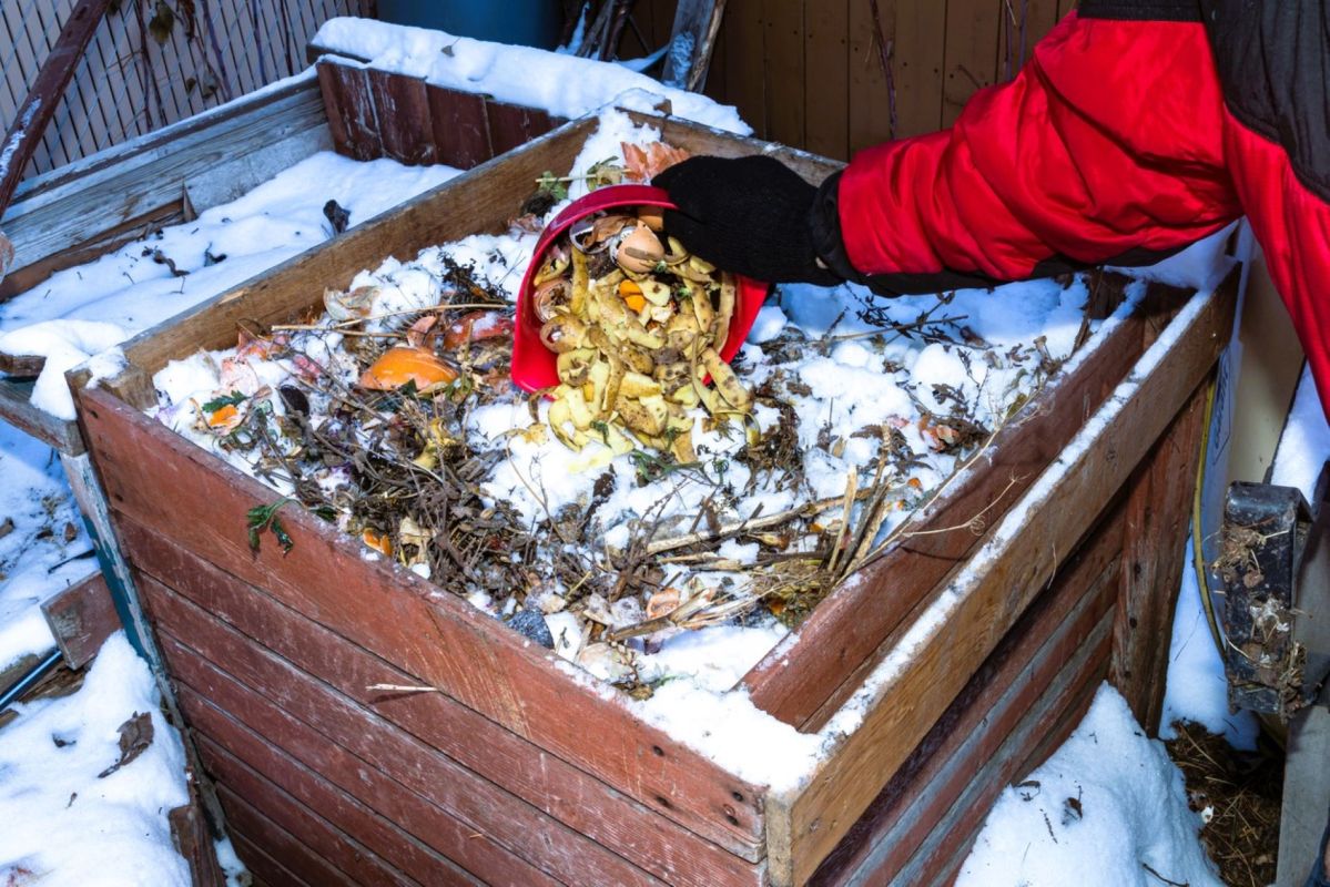 Comment préserver votre compost en hiver : conseils pratiques pour un compostage réussi