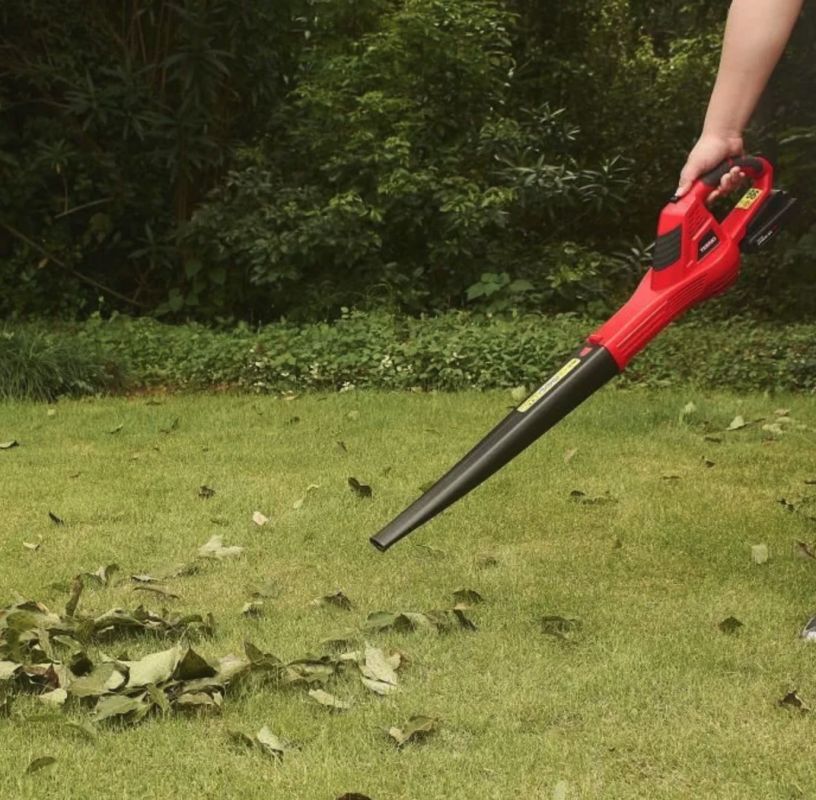 Dites adieu aux feuilles mortes : le souffleur sans fil à moitié prix vous attend