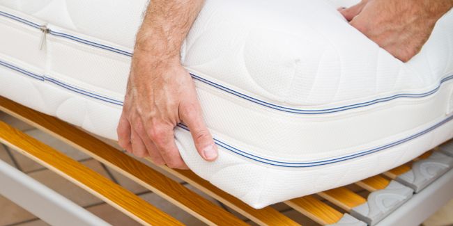 Affrontez le fléau des punaises de lit : solutions et conseils pratiques