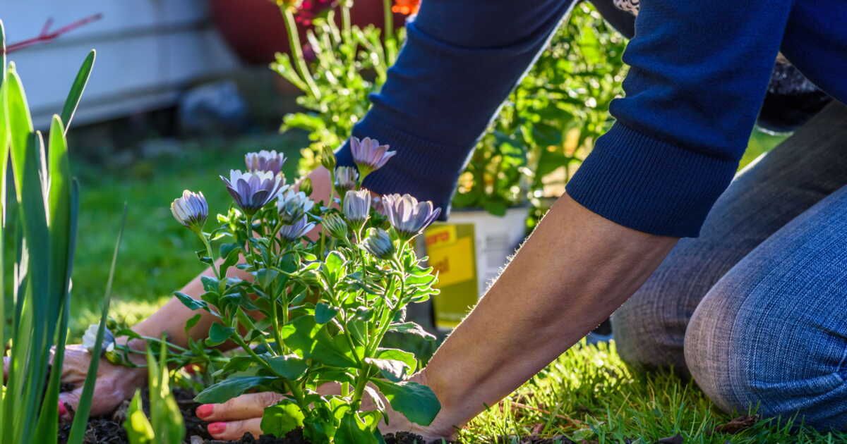 Les indispensables du jardinage au printemps