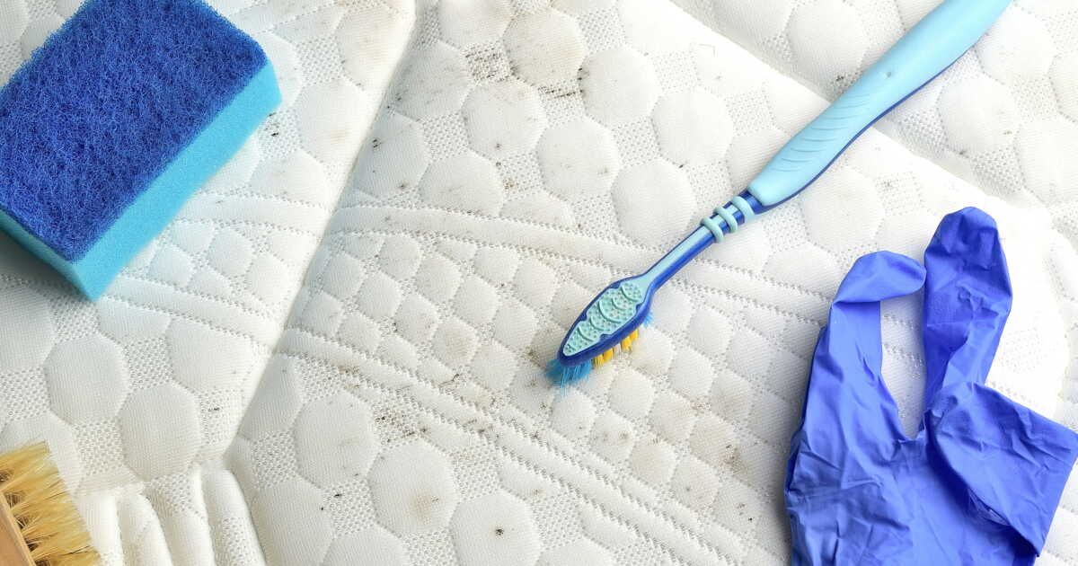 Éliminer la moisissure de votre matelas : guide pratique