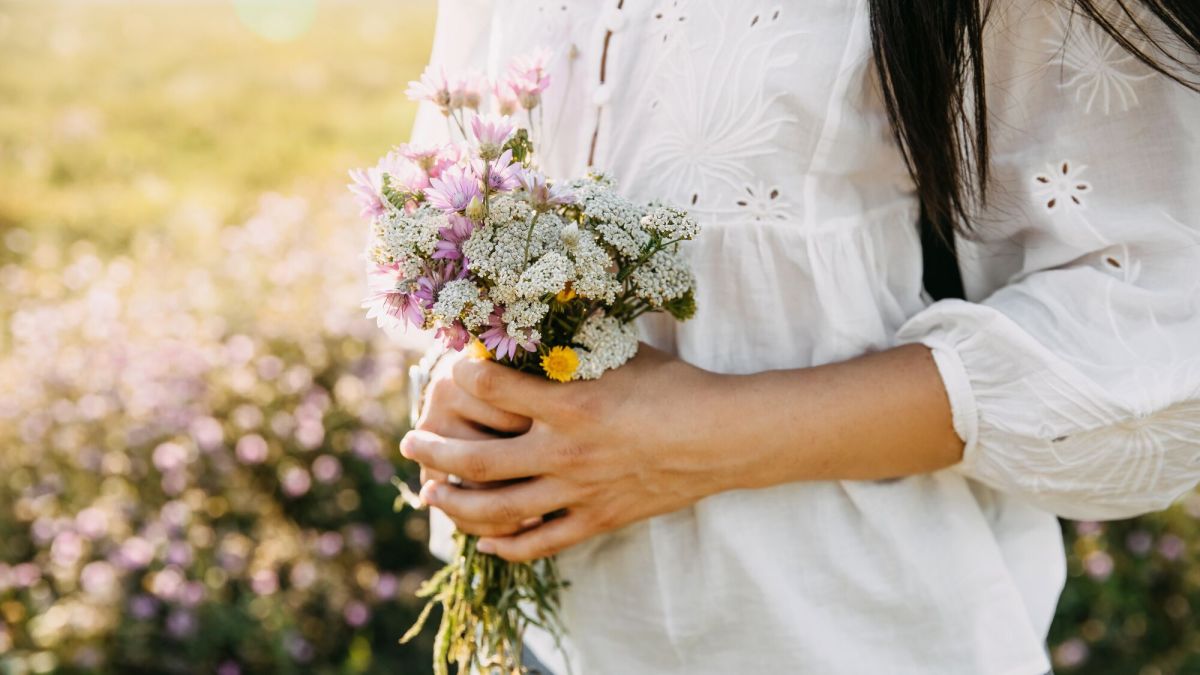 Cueillette en forêt : ce que vous devez absolument savoir