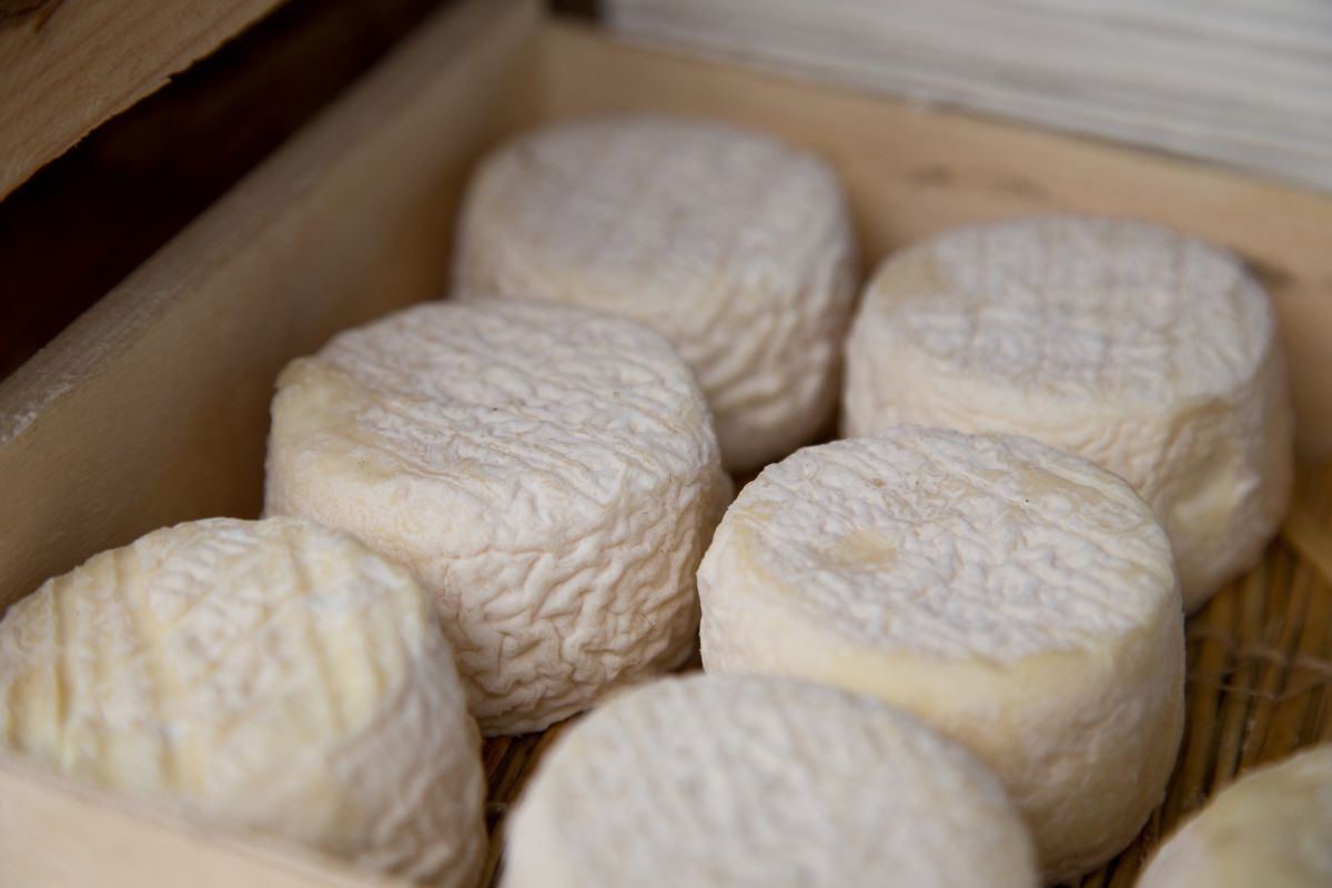 Rappel urgent de fromages de chèvre "Pélardons" après des cas de salmonellose