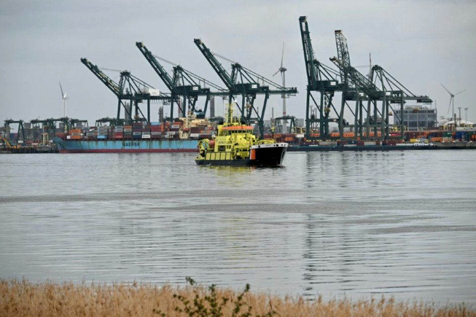 Anvers face à la marée noire : le port reprend son souffle