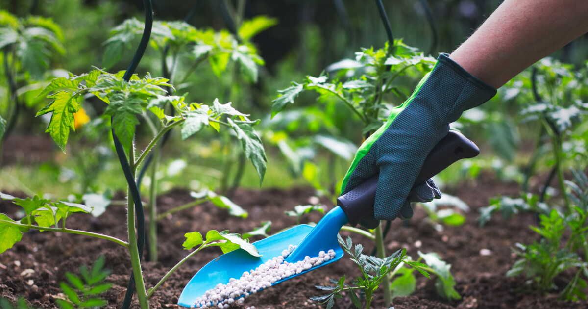 fabriquez votre engrais naturel : les secrets de julie andrieu