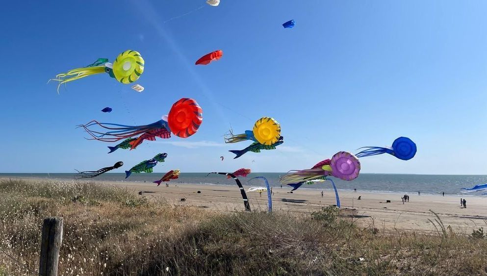 Augustin Renoir, le jeune maestro des cerfs-volants, s'envole vers Berck-sur-Mer