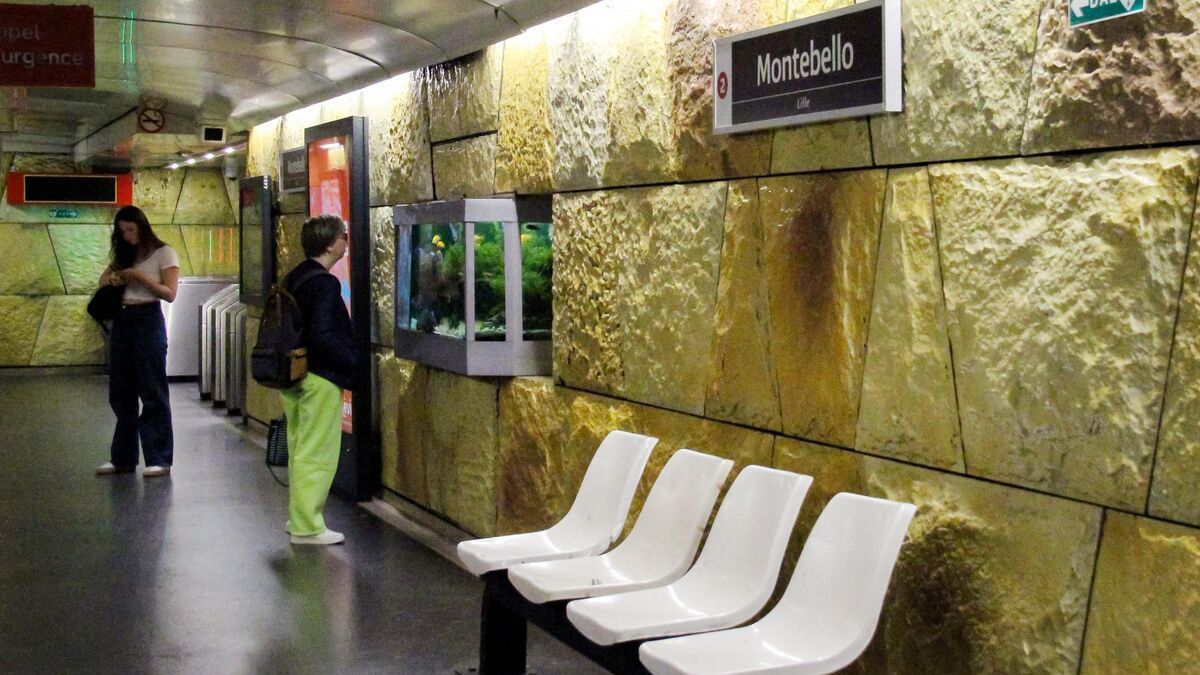 Des aquariums dans le métro lillois : une pétition pour libérer les poissons