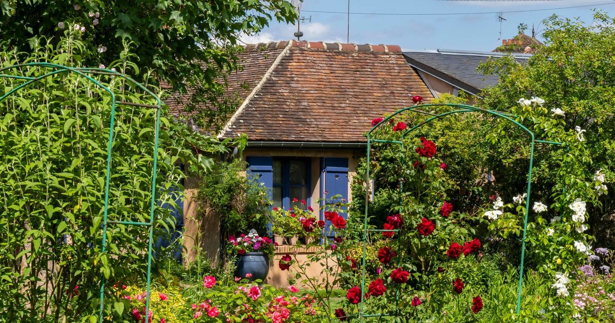 Le jardin d'André Van Beek, un trésor des Hauts-de-France en compétition
