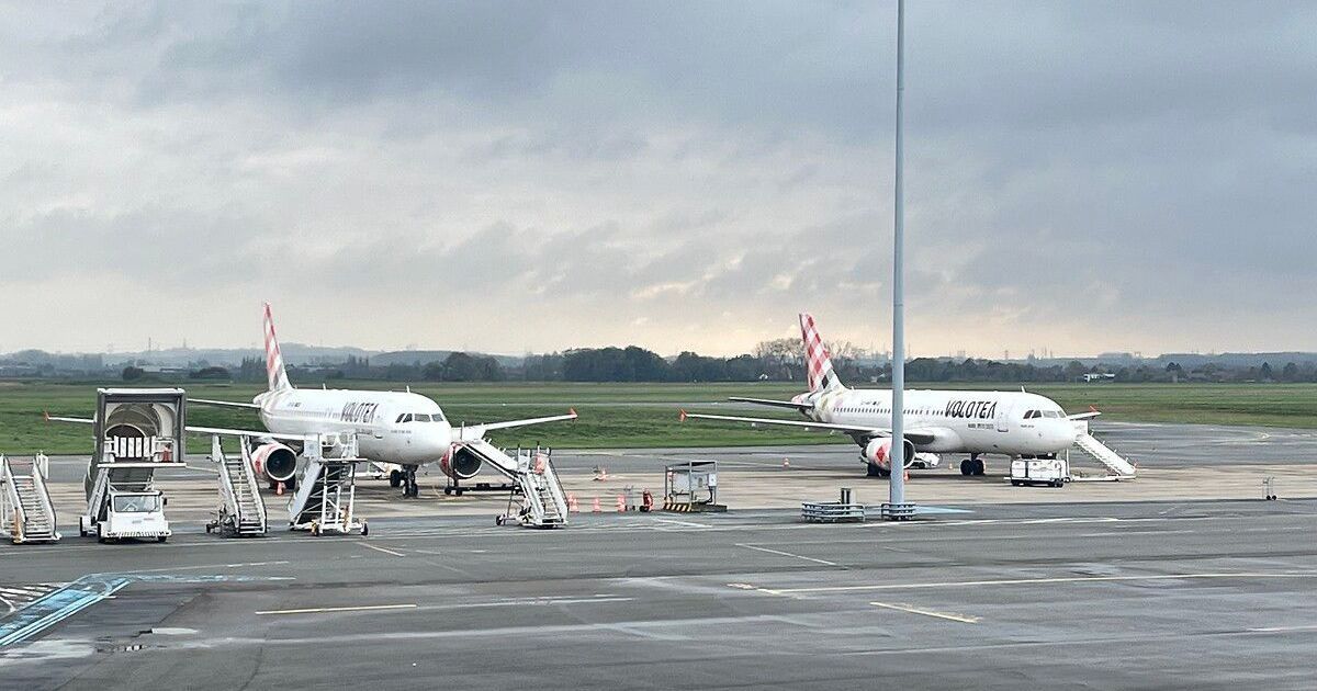 Le ciel se brouille à Lille : des dizaines de vols annulés en pleine crise