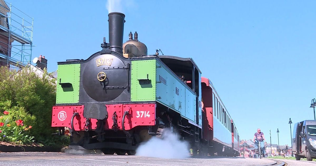 Le train de la baie de Somme reprend du service : la magie des paysages mystiques