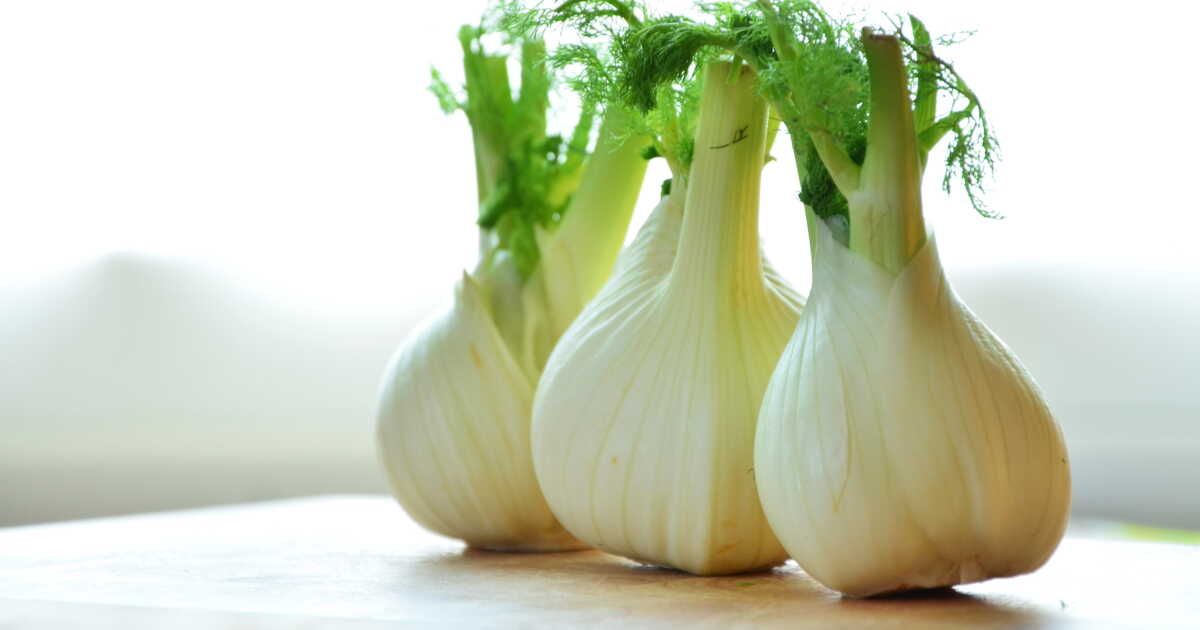 Réussir la congélation du fenouil : conseils et astuces