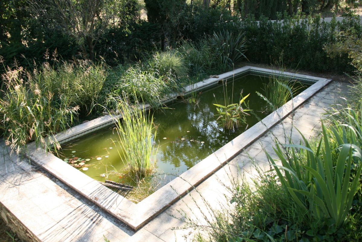 Bassin de jardin : installer, aménager et entretenir un bassin d'extérieur