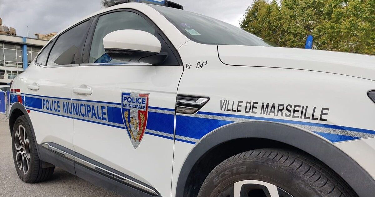 Un vol trouble à Marseille : des touristes ciblés dans leur car