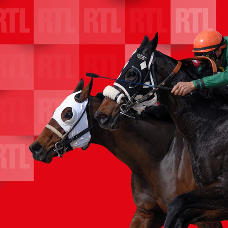 Les clés du Quinté de Chantilly : qui sera le grand vainqueur ?