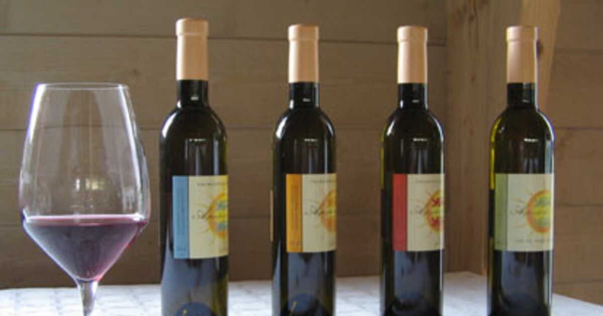 À la découverte du vin normand : un trésor insoupçonné