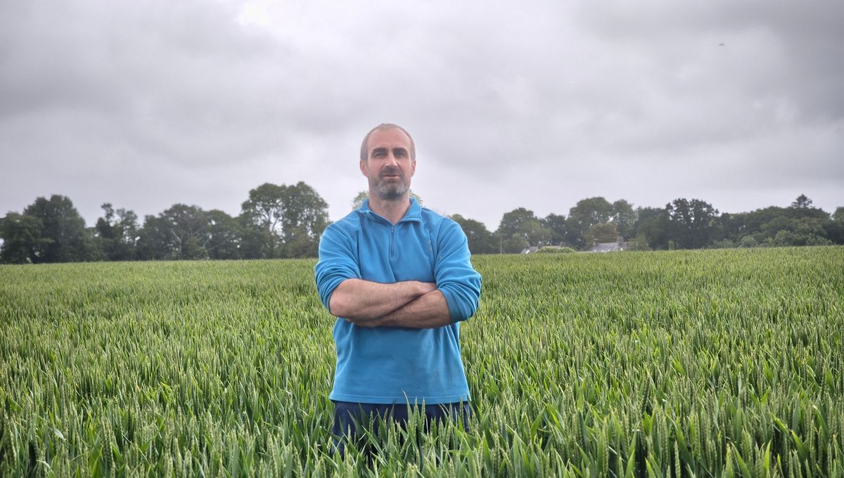 Loi d'urgence agricole : les agriculteurs bretons dans une impasse face à la concurrence