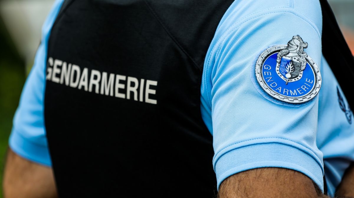 Une tragédie au Tranger : une femme retrouvée morte entourée de ses chiens