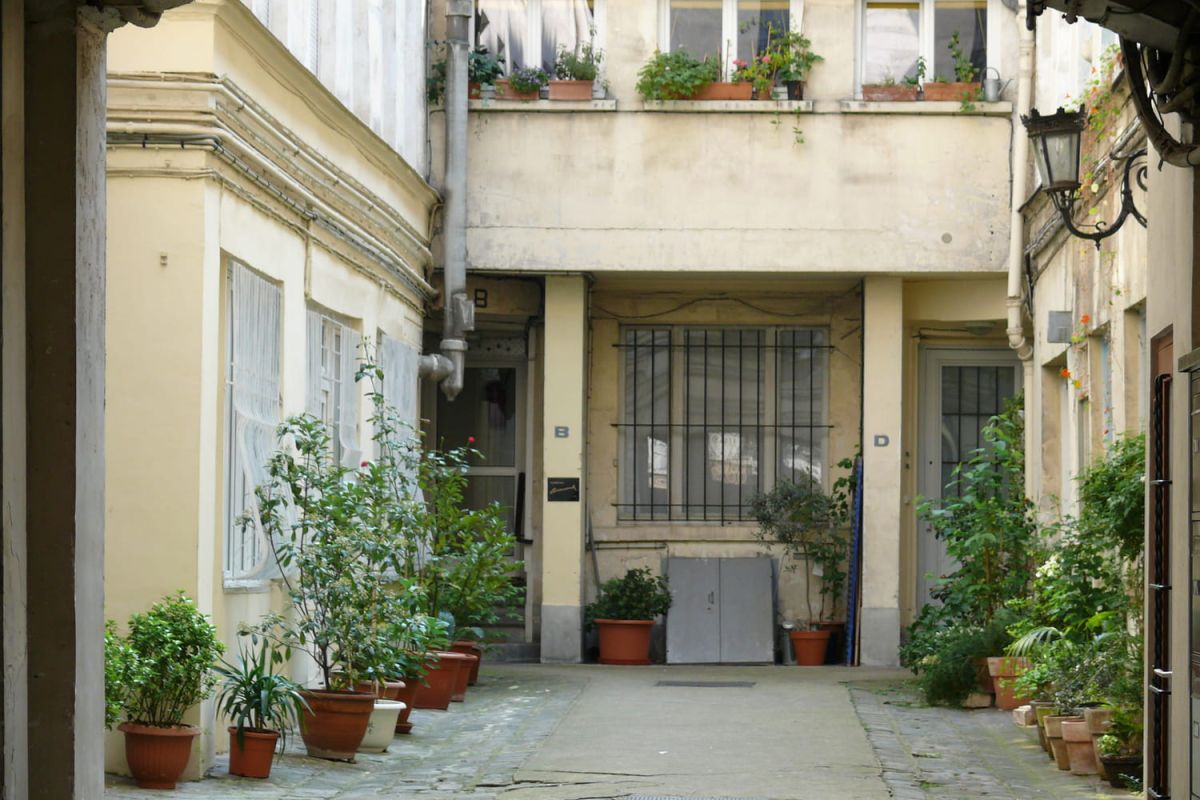 Transformez votre cour intérieure avec des plantes adaptées à l'ombre