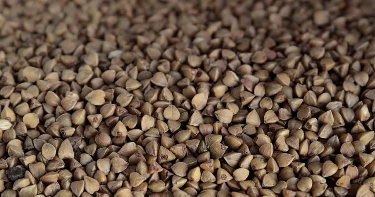 Zoom sur la farine de blé noir de Bretagne