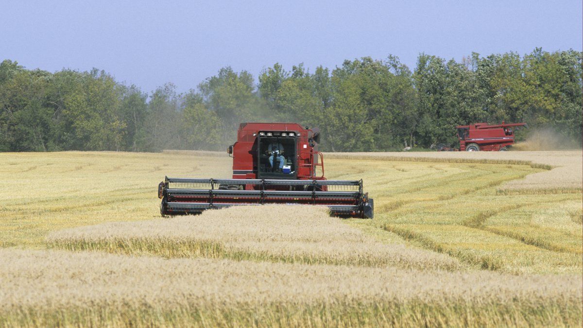 Agriculture en détresse : la guerre de Trump pèse sur les exploitations américaines