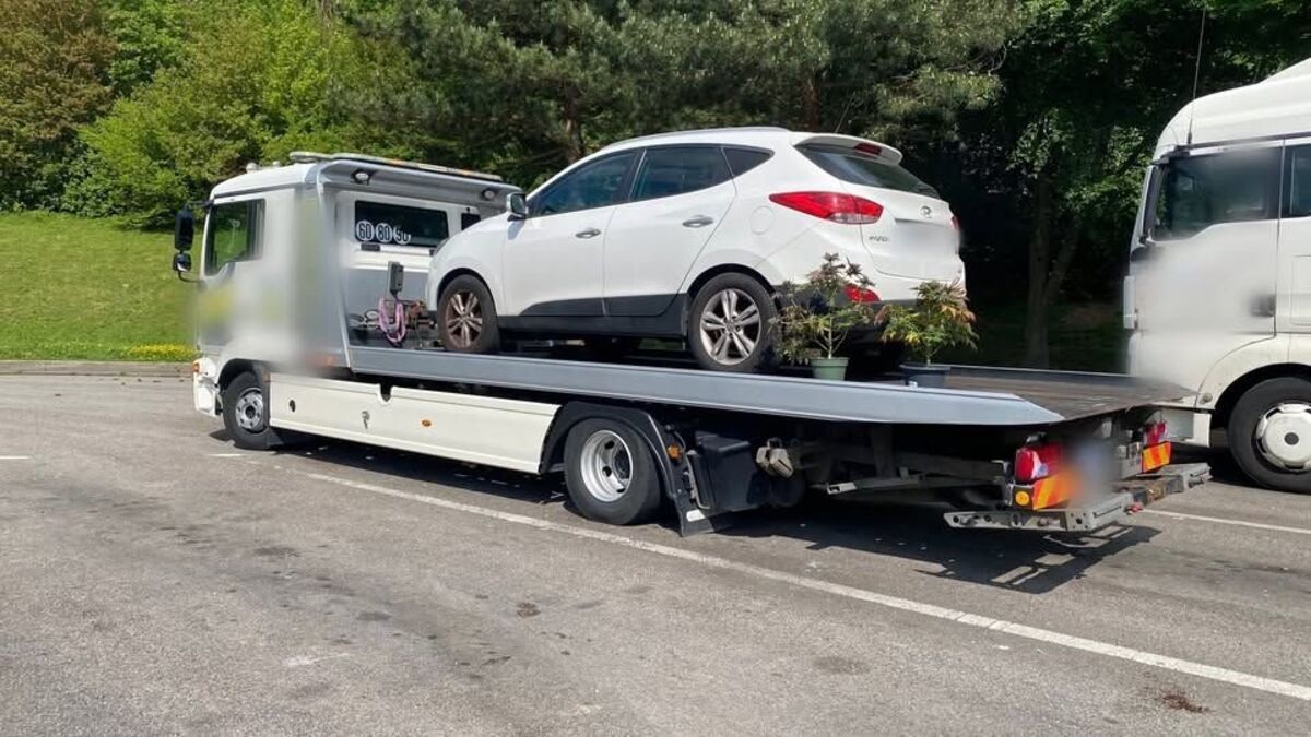 Un conducteur ivre flashé à 171 km/h sur l'A16 avec des plants de cannabis