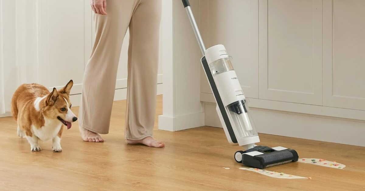 Le meilleur aspirateur Tineco à moitié prix sur Amazon