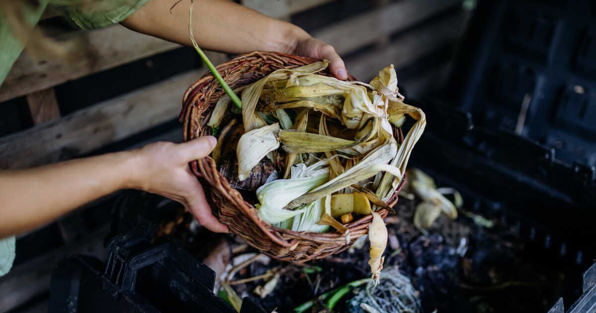 Les déchets à proscrire dans votre compost