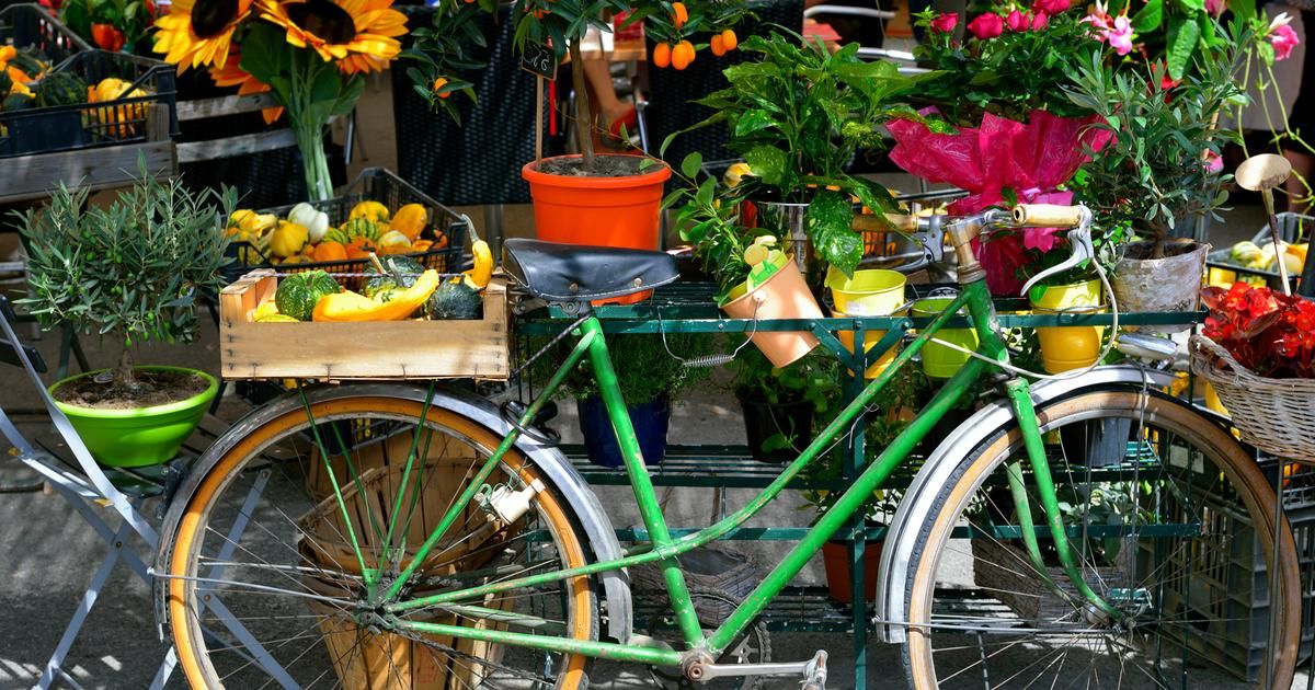 La cuisine fait sa rentrée : nouvelles tendances à savourer