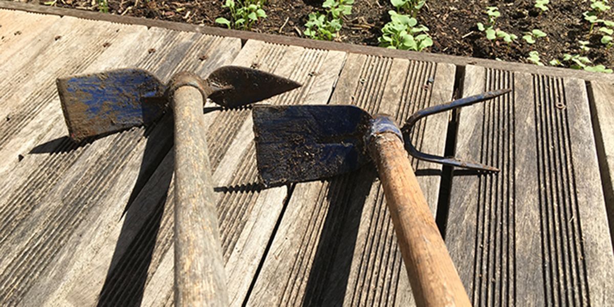 La serfouette, l'outil indispensable pour votre jardin