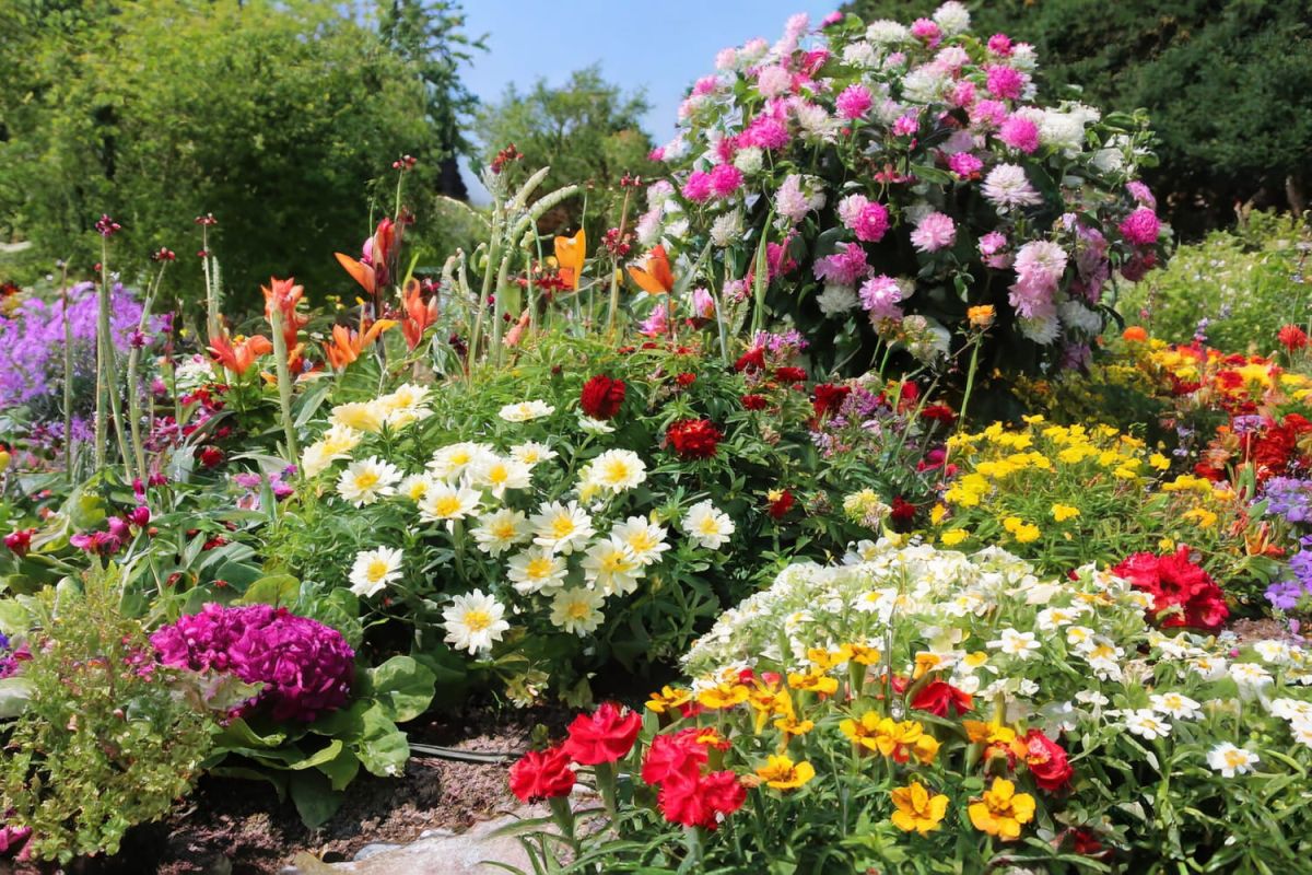 Astuces pour un jardin fleuri en un rien de temps
