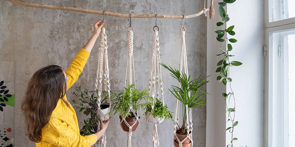 Plantes suspendues : l'art de créer un jardin aérien à la maison