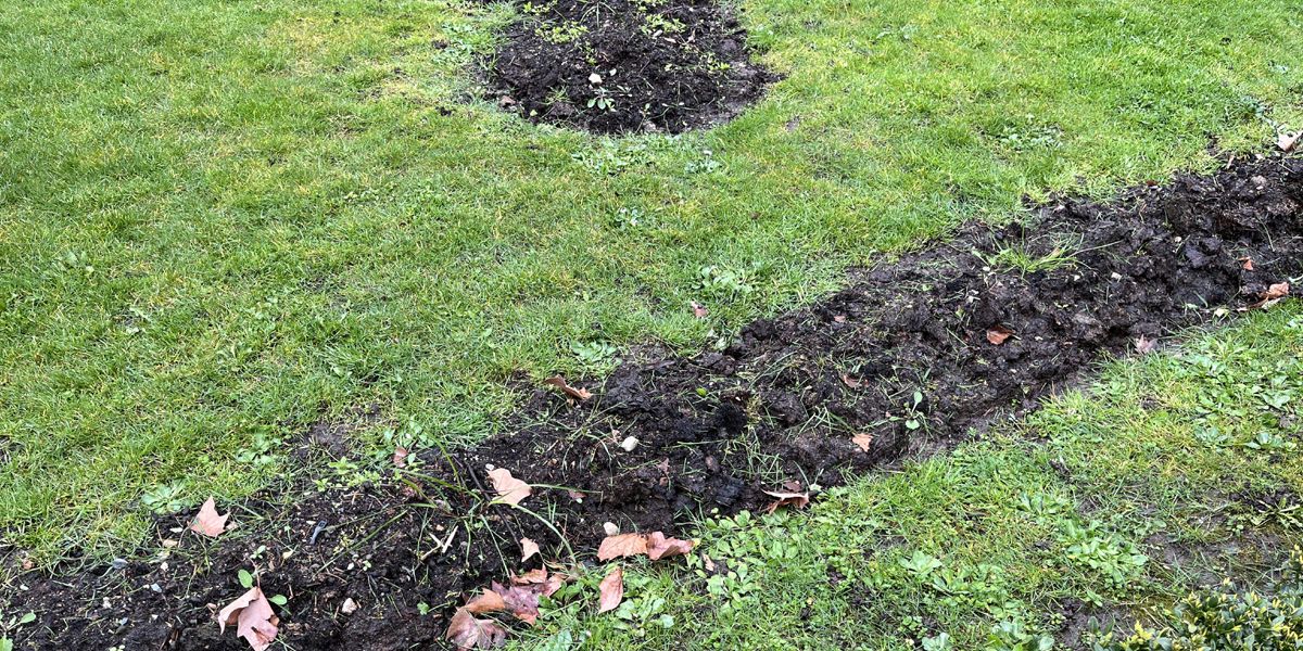 Créer des bordures parfaites pour votre jardin : guide pratique
