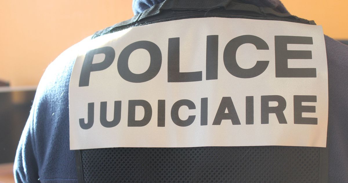 Saisies record de cannabis au Havre : sept personnes derrière les barreaux