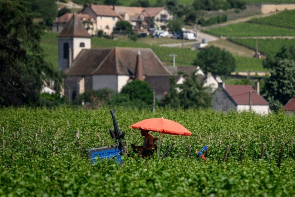 La canicule en France : une chaleur record qui soulève des inquiétudes