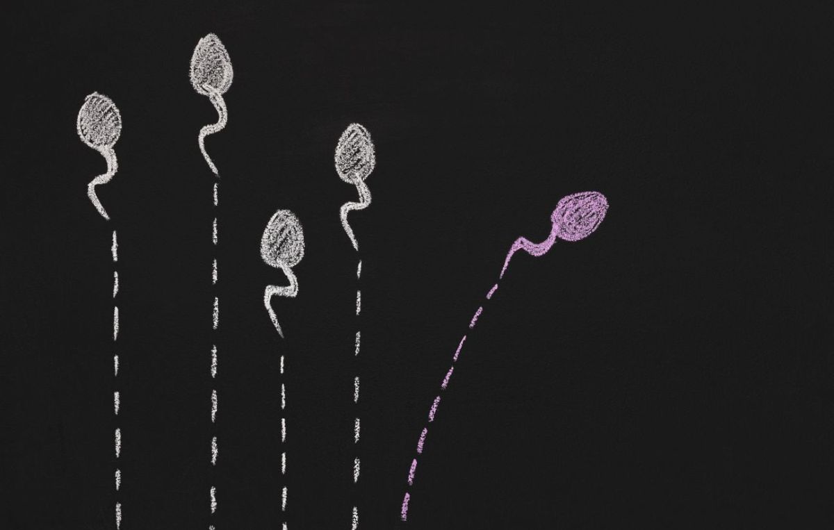 Un stérilet pour hommes : l'innovation contraceptive qui se profile